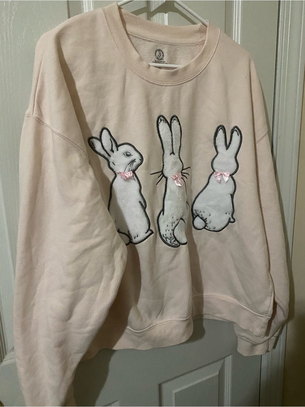 Peter Rabbit Sweatshirt Women XL Pink Plush Embroidered Applique Beatrix Potter